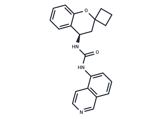 GRC-6211