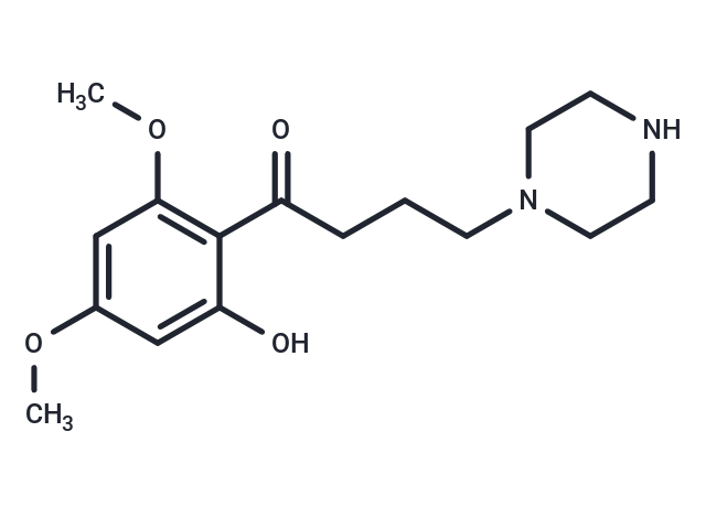 Y13g