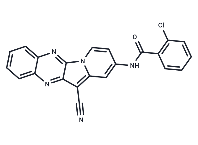 CInQ-03