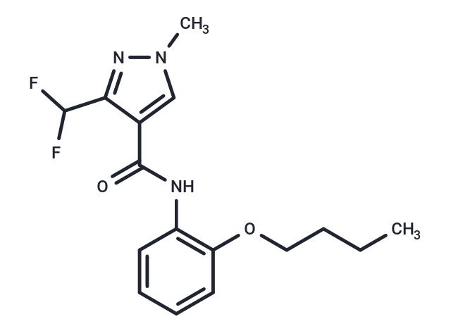 SDH-IN-5