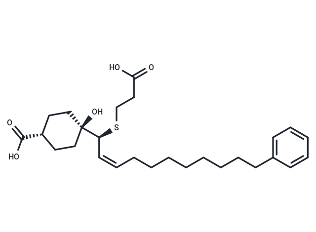 MDL-28753