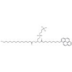 10-Pyrene-PC pictures