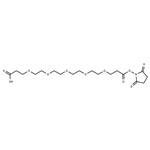 Acid-C2-PEG4-C2-NHS ester