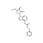 N6-Phenoxyacetyladenosine