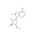 8-Chloro-2’-deoxy-2’-fluoro-arabino ? adenosine