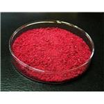 Cochineal