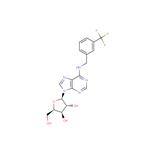 1-(b-D-Xylofuranosyl)-N6-(m-trifluoromethyl ? benzyl) adenine