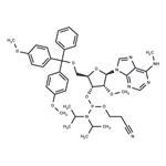 5'-O-DMTr-2'-O-methyl-N6-methyl adenosine 3'-CED phosphoramidite