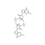 Cyclic-di-GMP