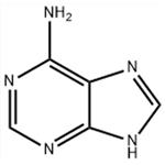 73-24-5 Adenine