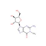 N1-Methyl xylo-guanosine