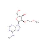 N6-Methyl-2’-O-(2-methoxyethyl) ? adenosine