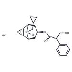 Cimetropium Bromide