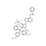 N6-Benzoyl-2'-O-tert-butyldimethylsilyl-3'-O-DMT-adenosine