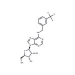 Antiviral agent 24