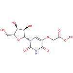 Uridine-5-oxo-acetyl-(9-fluorenylmethyl) ? ester