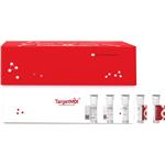 Siglec-10 Protein, Cynomolgus, Recombinant (His)