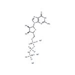 Guanylyl Imidodiphosphate