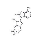 8-bromo-Cyclic AMP