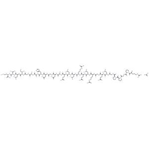 Orexin B, rat, mouse Acetate