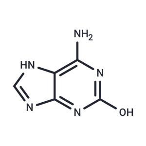 Isoguanine