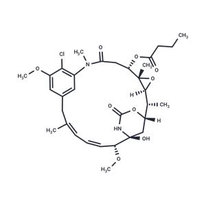 Ansamitocin P 3'