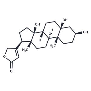 Periplogenin