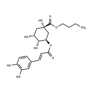 Butyl chlorogenate