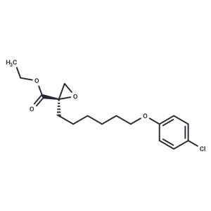 Etomoxir