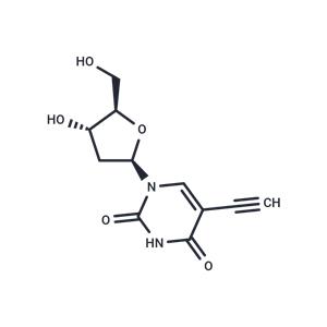 5-Ethynyl-2'-deoxyuridine