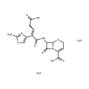 Ceftibuten dihydrate