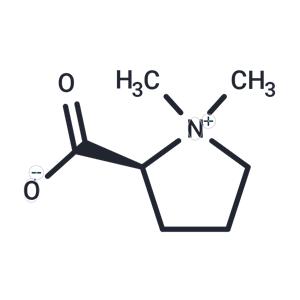 Stachydrine