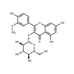 Isorhamnetin-3-O-glucoside