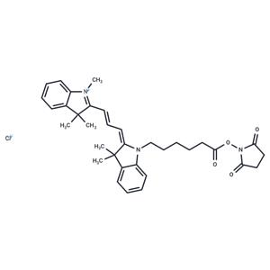 Cy3 NHS ester