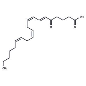 5-OxoETE