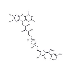 Flavin adenine dinucleotide