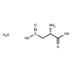 L-Cysteinesulfinic acid monohydrate