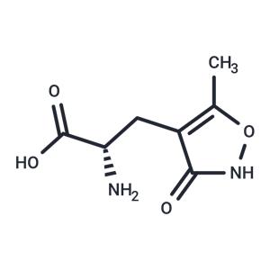 (S)-AMPA