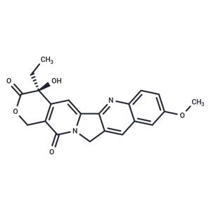 10-Methoxycamptothecin