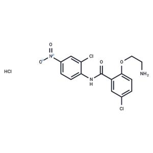 HJC0152 hydrochloride