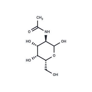 D-N-Acetylgalactosamine