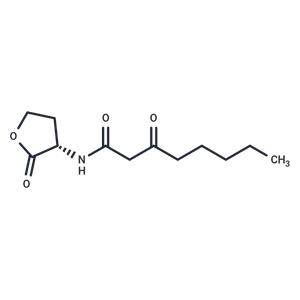 N-3-Oxo-octanoyl-L-homoserine lactone