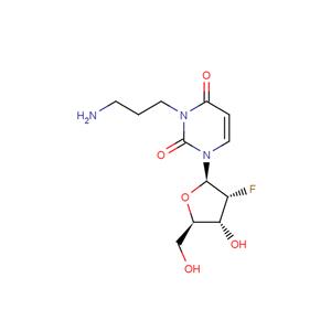 2’-Deoxy-2’-fluoro-N3-(3-aminopropyl)uridine