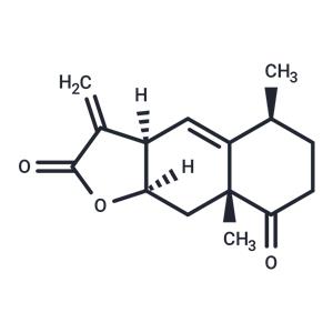 NF-κB-IN-2