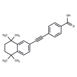 EC23