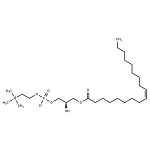 1-Oleoyl-sn-glycero-3-phosphocholine