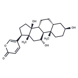 Gamabufotalin