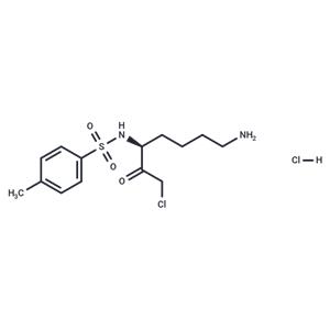 N-alpha-Tosyl-L-lysine chloromethyl ketone hydrochloride