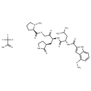 SARS-CoV-2-IN-12