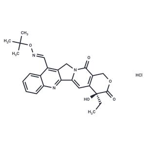 Gimatecan HCl